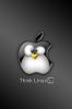 Technology_linux.jpg